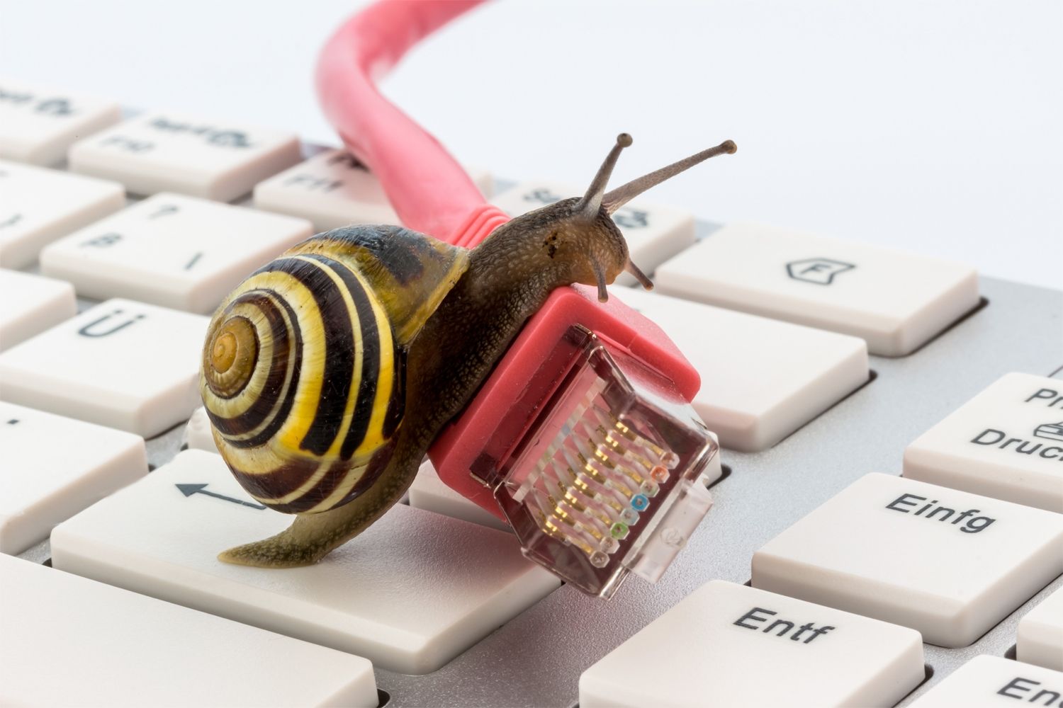 Un caracol avanzando lentamente por un teclado Mac